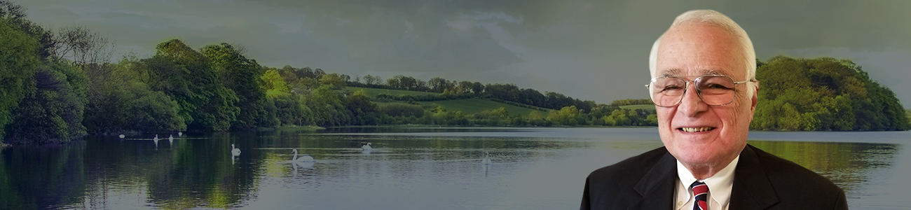 David S. Greenberg smiling in a suit and tie with a scenic lake and cloudy sky in the background.